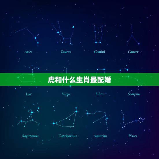 虎和什么生肖最配婚,虎和什么生肖相冲 虎和什么生肖最配婚,虎和什么生肖相冲