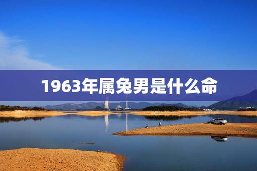 1963年属兔男是什么命,男63年兔阴历11月初三是啥命 1963年属兔男是什么命,男63年兔阴历11月初三是啥命