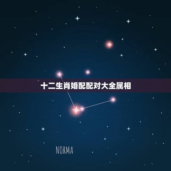 十二生肖婚配配对大全属相,十二生肖配对 十二生肖婚配配对大全属相,十二生肖配对