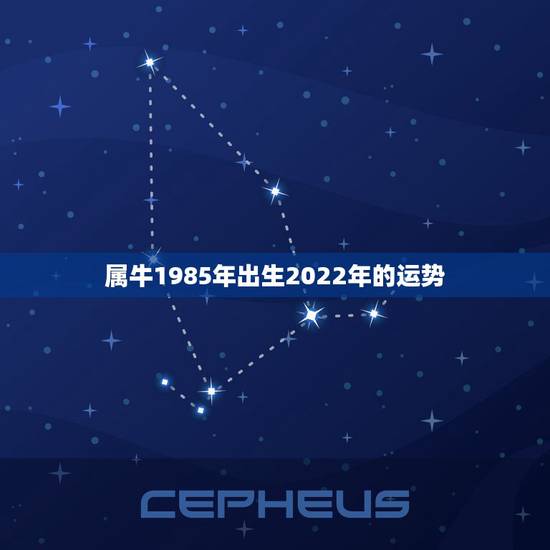 属牛1985年出生2022年的运势,属牛85年11月l1出生的今年运势 属牛1985年出生2022年的运势,属牛85年11月l1出生的今年运势
