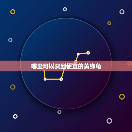 哪里可以买到便宜的黄缘龟，上海的龟友，哪里有卖黄缘的啊？