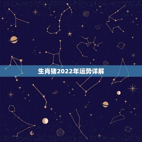 生肖猪2022年运势详解，麦玲玲2019年属猪人本命年运势如何