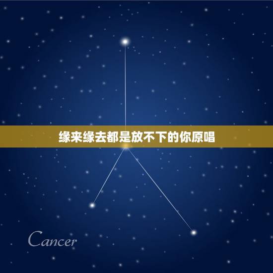 缘来缘去都是放不下的你原唱，缘来缘去还是放不下的你！是这首歌什么歌？