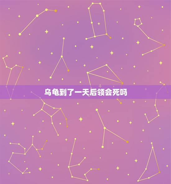 乌龟到了一天后领会死吗，乌龟冬眠的时候会死吗？