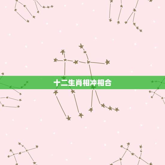 十二生肖相冲相合，十二生肖相冲相害