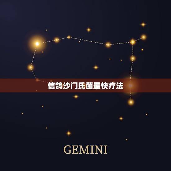 信鸽沙门氏菌最快疗法，鸽子腹中有水怎么治疗