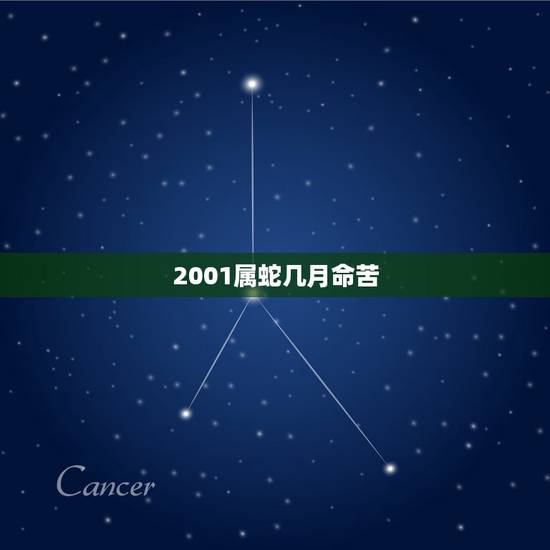 2001属蛇几月命苦,2001年九月命苦 2001属蛇几月命苦,2001年九月命苦