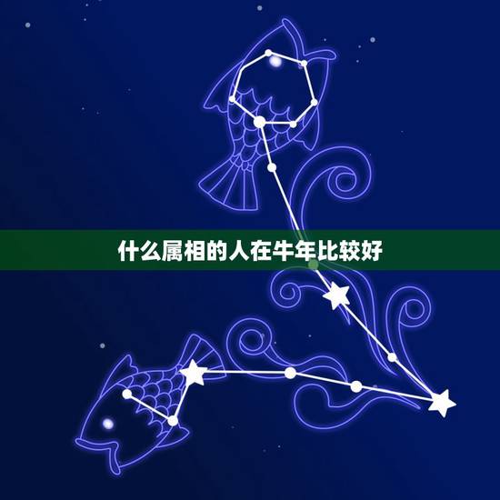 什么属相的人在牛年比较好，属牛的和什么属相配最好呢！
