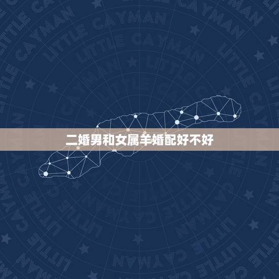 二婚男和女属羊婚配好不好,1991年属羊女有二婚吗 二婚男和女属羊婚配好不好,1991年属羊女有二婚吗