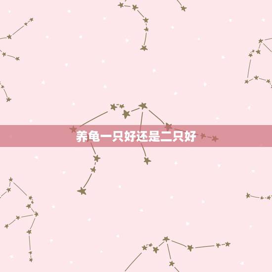 养龟一只好还是二只好，养乌龟的技巧？养一只还是养两只好？
