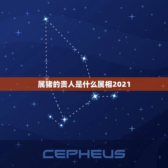 属猪的贵人是什么属相2021，2021年属猪的运势及运程？