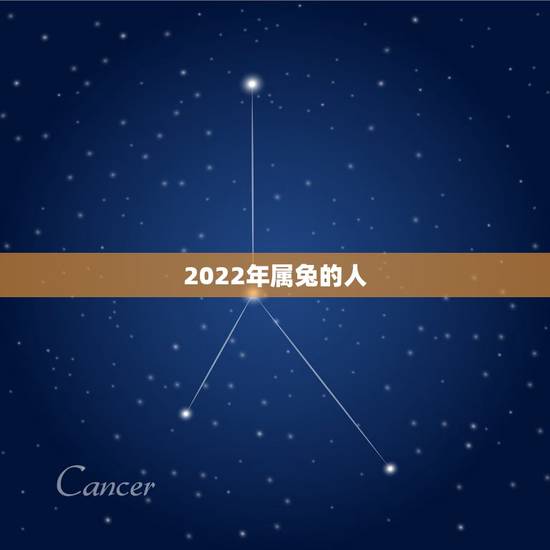 2022年属兔的人,生肖兔2022 2022年属兔的人,生肖兔2022