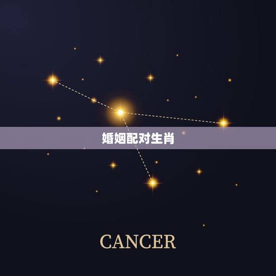 婚姻配对生肖，属相婚配
