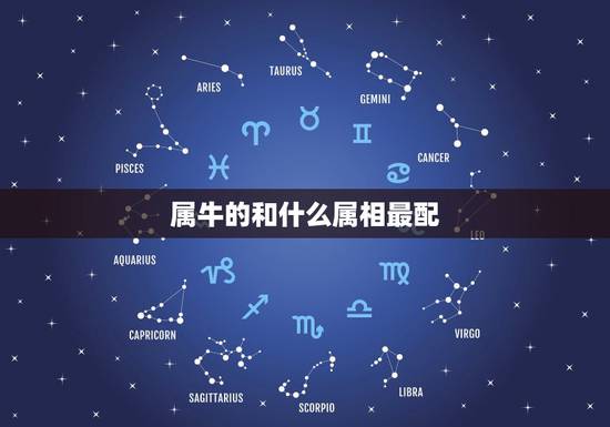 属牛的和什么属相最配,属牛人的婚配 属牛的和什么属相最配,属牛人的婚配