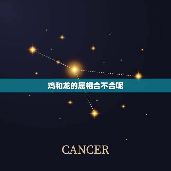 鸡和龙的属相合不合呢，兔和鸡属相合不合