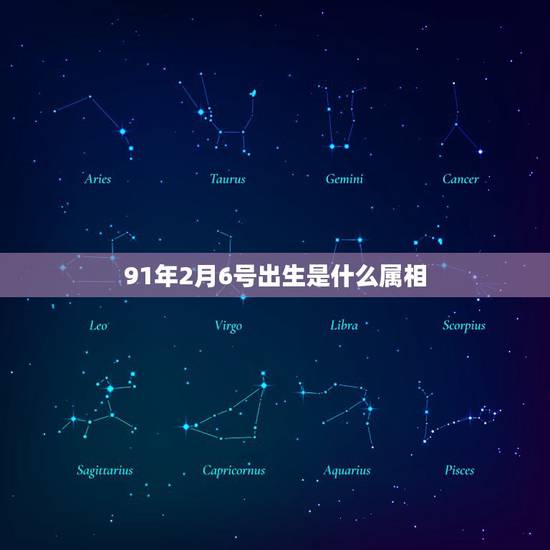 91年2月6号出生是什么属相，本人男1991年2月6日属羊什么命？