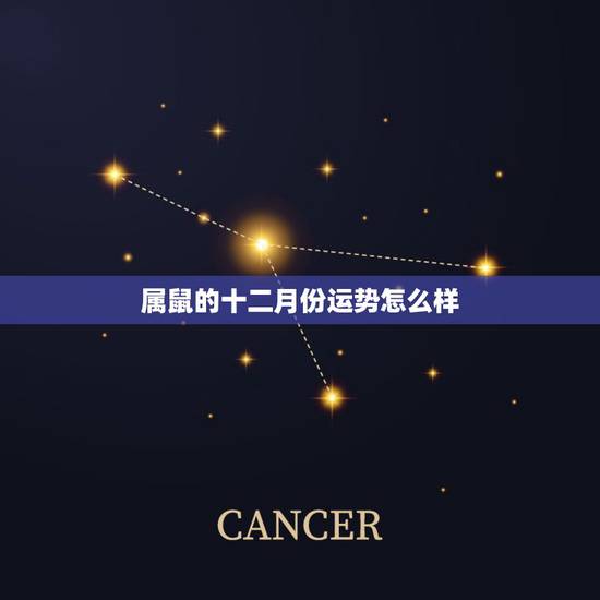 属鼠的十二月份运势怎么样,属鼠人的运气 属鼠的十二月份运势怎么样,属鼠人的运气