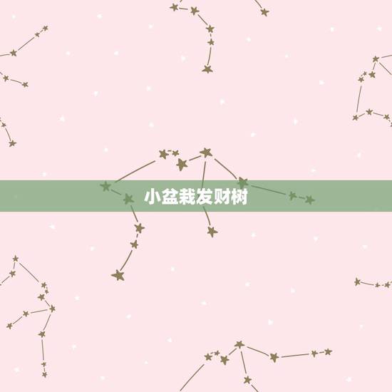 小盆栽发财树，如何养发财树小盆栽