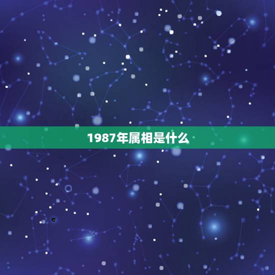 1987年属相是什么,1963年属相是什么 1987年属相是什么,1963年属相是什么
