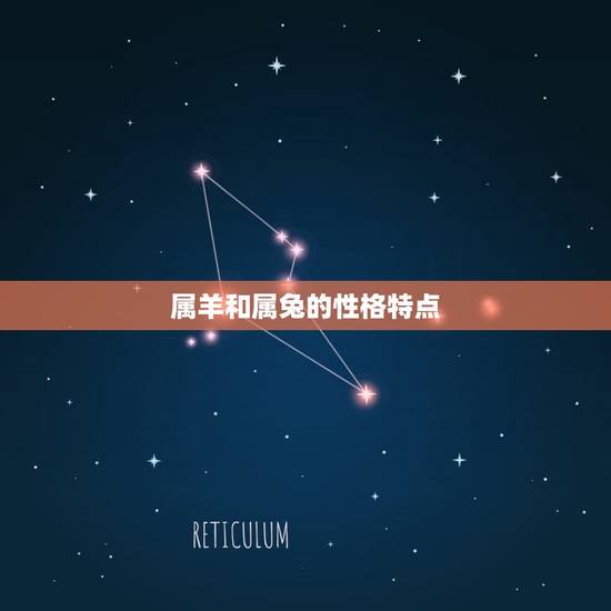 属羊和属兔的性格特点