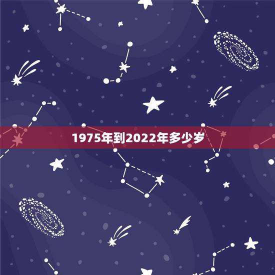 1975年到2022年多少岁，1981年到2022 年多少岁