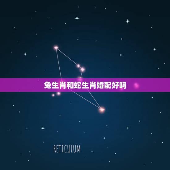 兔生肖和蛇生肖婚配好吗,属兔和属蛇的相配吗 兔生肖和蛇生肖婚配好吗,属兔和属蛇的相配吗