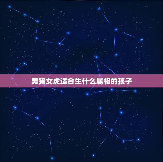 男猪女虎适合生什么属相的孩子，属虎和属猪夫妻生属什么孩子