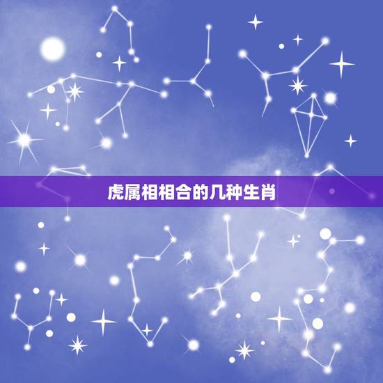 虎属相相合的几种生肖,属虎跟什么属相合 虎属相相合的几种生肖,属虎跟什么属相合