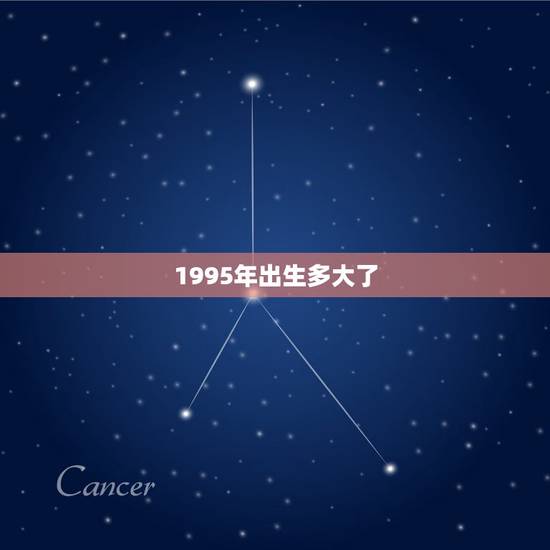 1995年出生多大了,1995年出生的人虚岁今年多大了? 1995年出生多大了,1995年出生的人虚岁今年多大了?