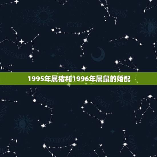 1995年属猪和1996年属鼠的婚配,95年属猪的和96年属鼠的般配吗 1995年属猪和1996年属鼠的婚配,95年属猪的和96年属鼠的般配吗