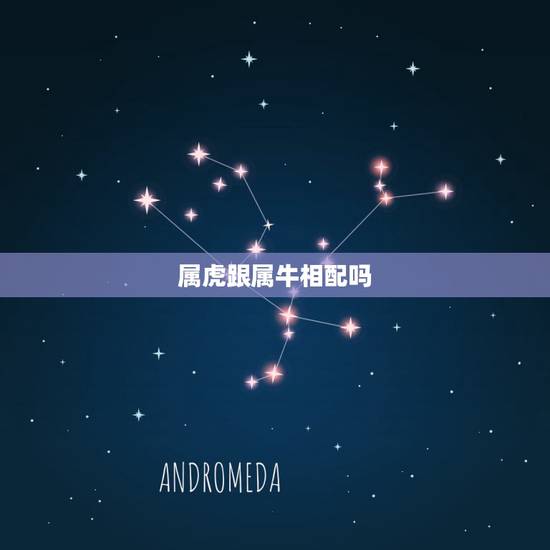 属虎跟属牛相配吗，属牛的跟属虎的配吗