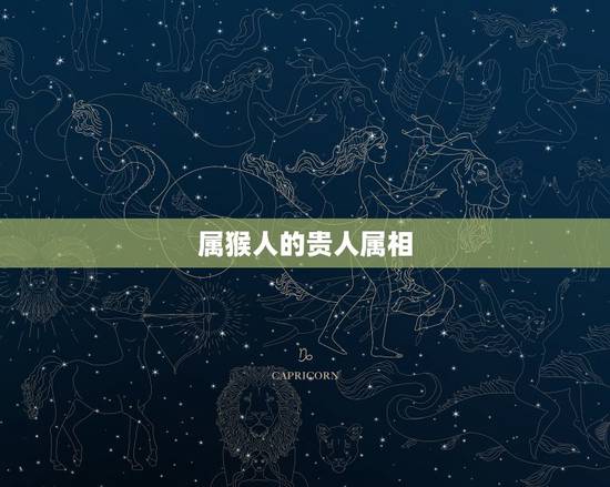属猴人的贵人属相,生肖猴的事业贵人属相 属猴人的贵人属相,生肖猴的事业贵人属相