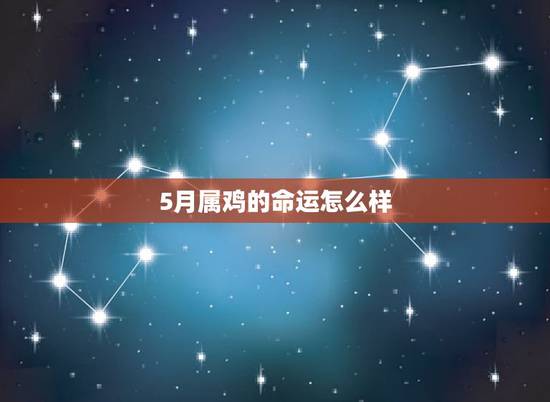 5月属鸡的命运怎么样，1969年属鸡的人5月二十生日午时的命运