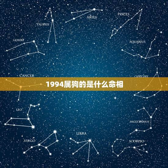 1994属狗的是什么命相,1994年属狗是什么命女 1994属狗的是什么命相,1994年属狗是什么命女