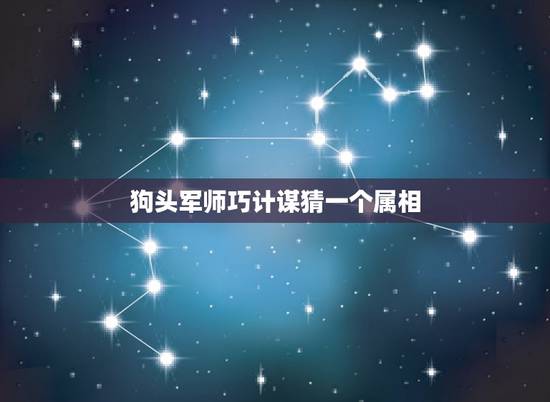 狗头军师巧计谋猜一个属相,狗斗军师有计谋 狗头军师巧计谋猜一个属相,狗斗军师有计谋
