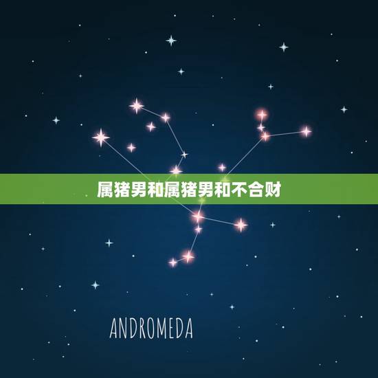 属猪男和属猪男和不合财,属猪和属猪的财运合吗 属猪男和属猪男和不合财,属猪和属猪的财运合吗