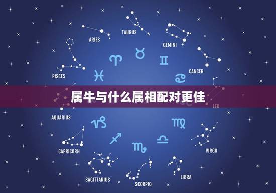 属牛与什么属相配对更佳，属牛配对属相婚配表