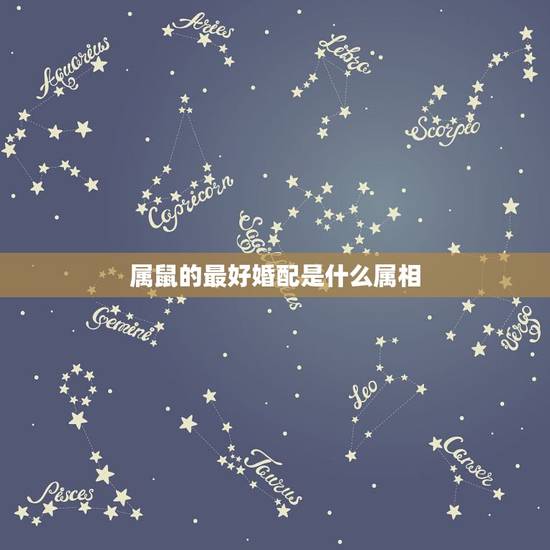 属鼠的最好婚配是什么属相，84年生肖属鼠的和什么属相配对