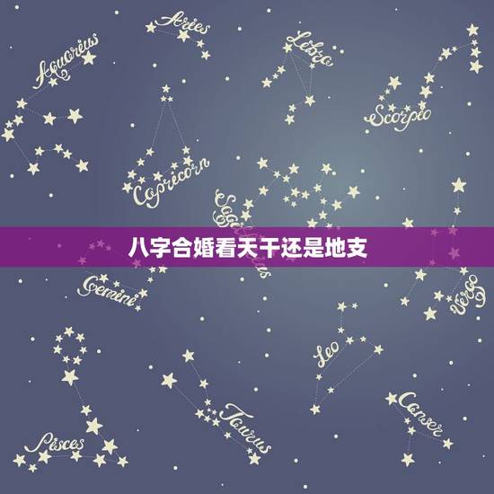 八字合婚看天干还是地支,男女八字合婚,天干地支正冲是什么意思 八字合婚看天干还是地支,男女八字合婚,天干地支正冲是什么意思