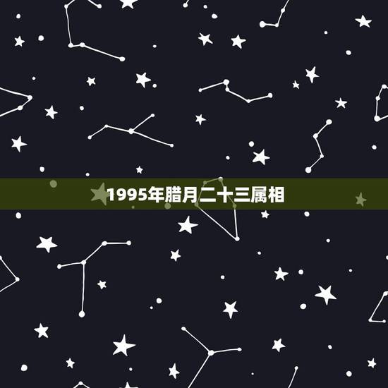 1995年腊月二十三属相，1995年腊月二十三是什么星座