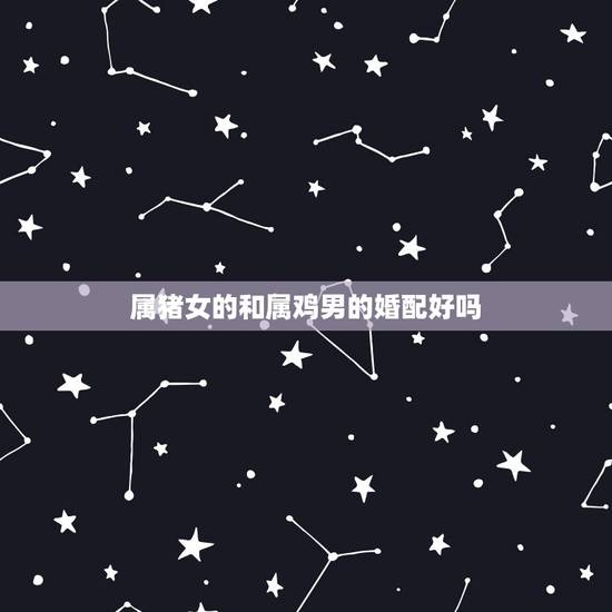 属猪女的和属鸡男的婚配好吗，属相婚配：男属鸡和女属猪相配吗