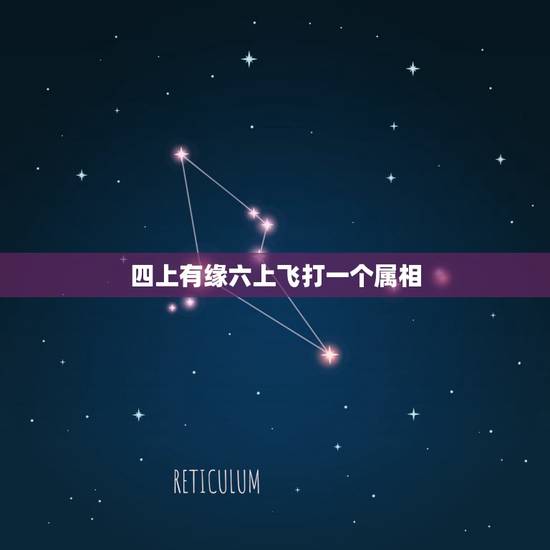 四上有缘六上飞打一个属相，四上有缘六七飞，打一个数字