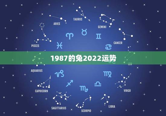 1987的兔2022运势,2021属兔人全年运势1987 1987的兔2022运势,2021属兔人全年运势1987