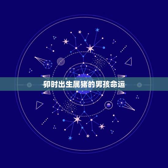 卯时出生属猪的男孩命运，卯时出生的猪宝宝