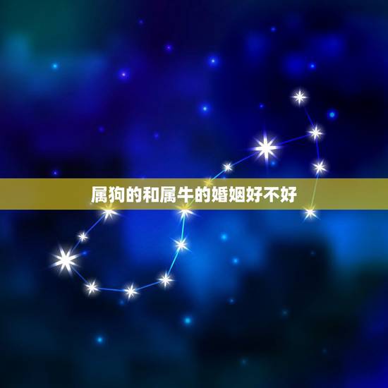 属狗的和属牛的婚姻好不好,属狗和属牛能结婚吗?配吗? 属狗的和属牛的婚姻好不好,属狗和属牛能结婚吗?配吗?