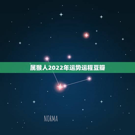 属猴人2022年运势运程豆瓣，属鸡2022 年运势及运程