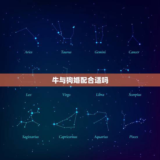 牛与狗婚配合适吗,属牛和属狗合婚吗? 牛与狗婚配合适吗,属牛和属狗合婚吗?