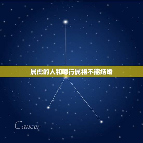属虎的人和哪行属相不能结婚,属虎的和属猴的不能结婚吗 属虎的人和哪行属相不能结婚,属虎的和属猴的不能结婚吗