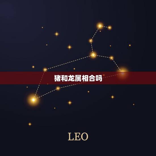 猪和龙属相合吗,猪的生肖和龙生肖配怎么样 猪和龙属相合吗,猪的生肖和龙生肖配怎么样