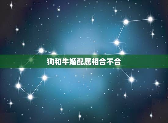 狗和牛婚配属相合不合，属相狗和牛的婚姻合不？